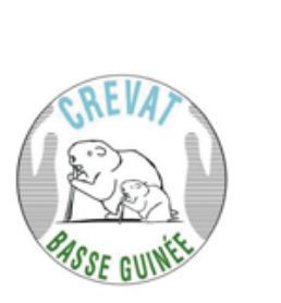 Partenaire AMBA SOCIETY