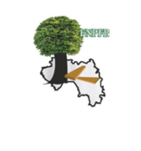 Partenaire AMBA SOCIETY